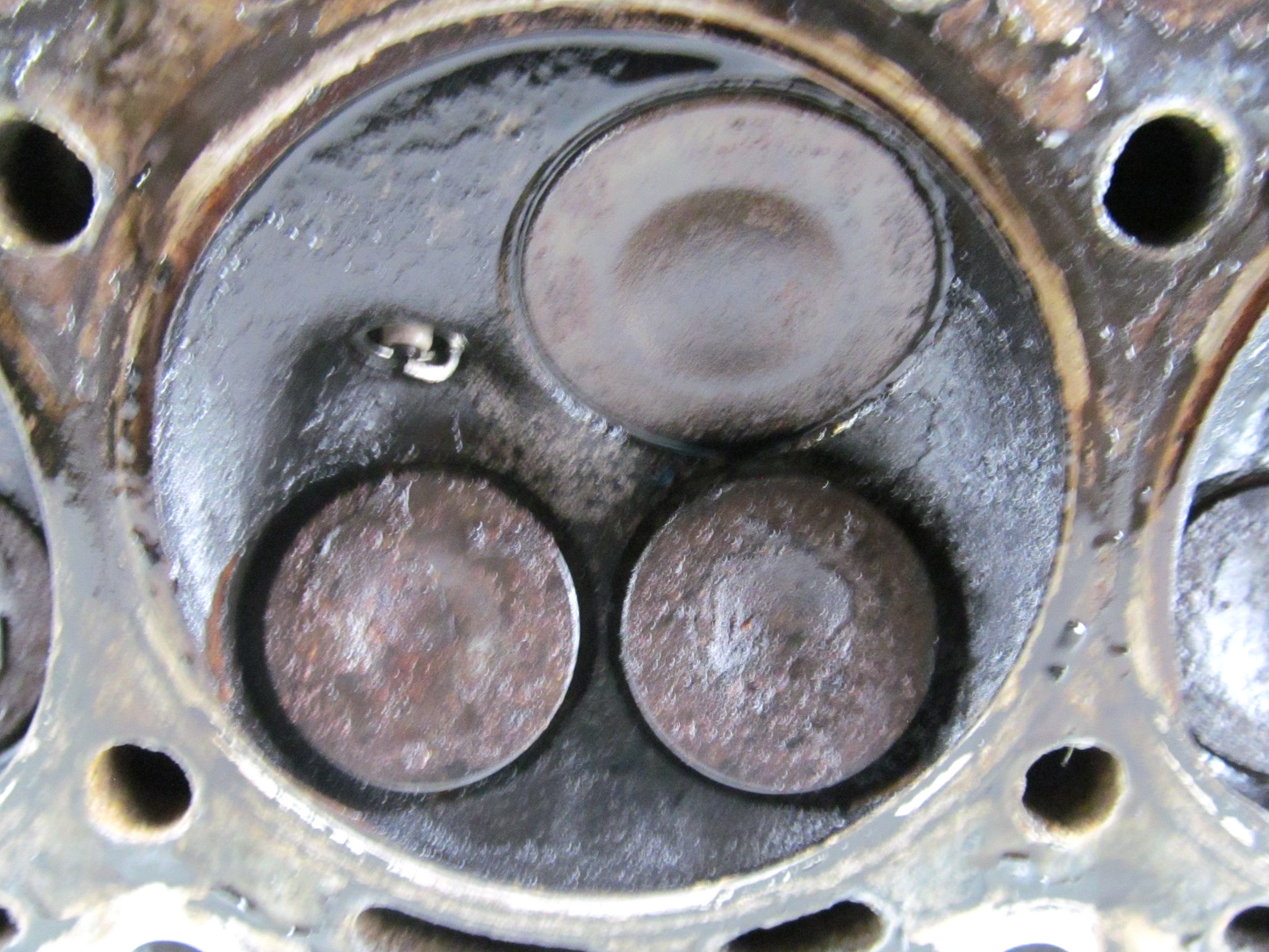 8959418